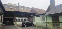 Vente Local commercial Bischheim  67800 355 m2