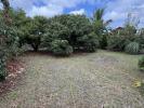 Annonce Vente Terrain Ravine-des-cabris
