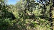 Land SARTENE 