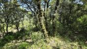 Land SARTENE 