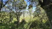 Land SARTENE 
