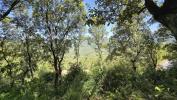 Land SARTENE 