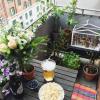 Acheter Appartement Champigny-sur-marne 412700 euros