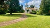 House NIORT 