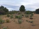 Vente Terrain Torderes 66