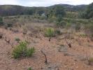 Acheter Terrain 10000 m2 Torderes