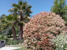 For sale House Cabasse  83340 145 m2 5 rooms
