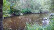 Vente Terrain Coulanges 41