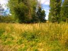 Acheter Terrain Coulanges Loir et cher