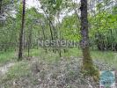 Annonce Vente Domaine forestier Fontaines-en-sologne