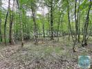 Acheter Domaine forestier 32767 m2 Fontaines-en-sologne