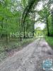 Acheter Domaine forestier Fontaines-en-sologne Loir et cher