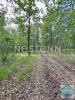 Acheter Domaine forestier Fontaines-en-sologne 127000 euros
