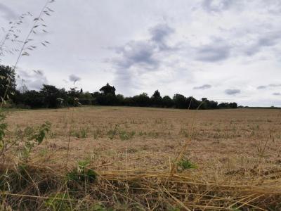 Vente Terrain CORRONSAC 31450