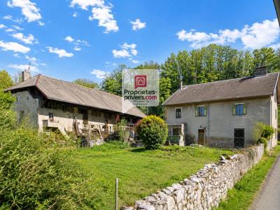 Vente Maison 12 pi�ces COISE-SAINT-JEAN-PIED-GAUTHIER 73800