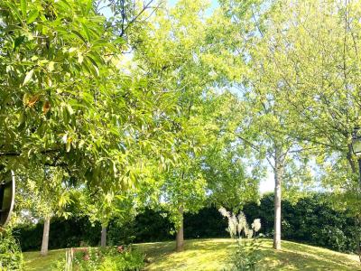 Vente Appartement 10 pi�ces FONTENAY-LE-FLEURY 78330