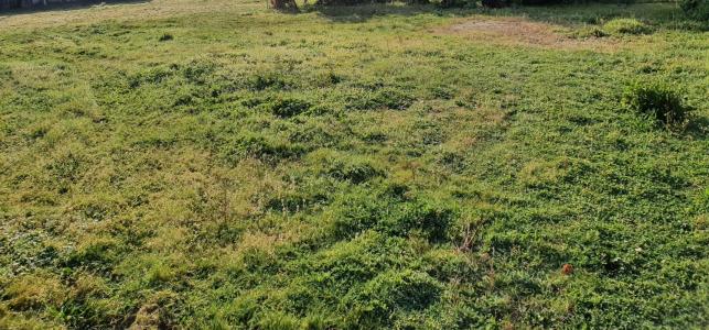 Vente Terrain LACANAU 33680