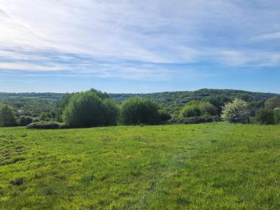 Vente Terrain BREUIL-EN-AUGE 14130