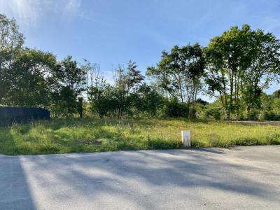 Vente Terrain CABOURG 14390
