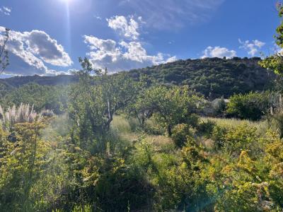 Vente Terrain CORNAS 07130