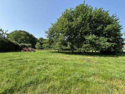 Vente Terrain CAMARSAC 33750