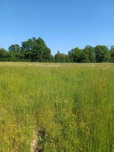 Vente Terrain MONTREUIL-L'ARGILLE 27390