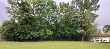 Vente Terrain Saint-saturnin 72