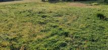 Vente Terrain Lacanau 33