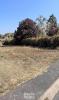 Annonce Vente Terrain Buxeuil