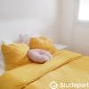 Louer Appartement Toulouse 477 euros