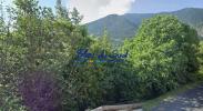 Vente Terrain Escaro 66