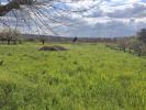 Annonce Vente 5 pi�ces Maison 