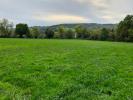 Vente Terrain Pont-l'eveque 14