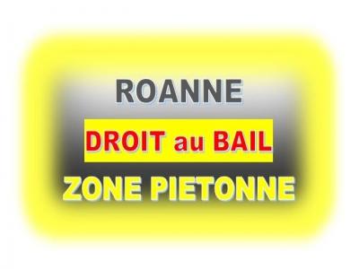 Vente Maison ROANNE ZONE PIETONNE 42