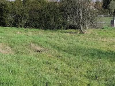 Vente Maison BORDEAUX 33200