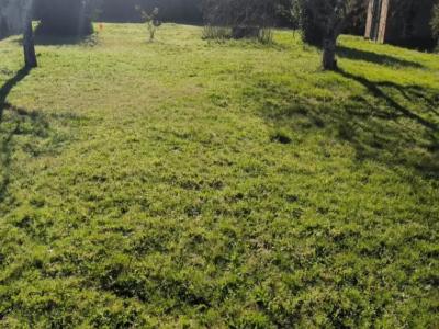 Vente Terrain MERIGNAC 33700