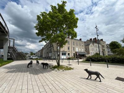 Vente Appartement 4 pi�ces ANGERS 49000