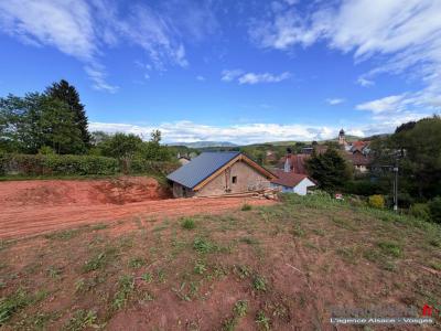 Vente Terrain SAULXURES 67420