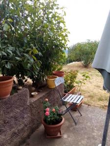 Location Appartement FURIANI