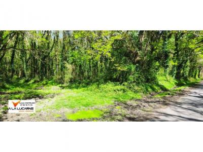 Vente Terrain GUERANDE 44350