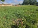 Annonce Vente Terrain Montrond-les-bains