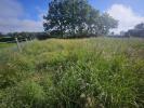 Acheter Terrain Montrond-les-bains 150000 euros