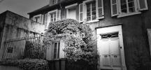Annonce Vente Prestige Saint-martin-boulogne