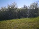 Acheter Terrain Marciac Gers