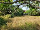 Annonce Vente Terrain Andernos-les-bains