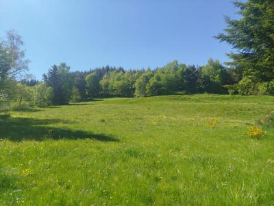 Vente Terrain CHAUDEYRAC 48170