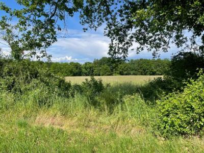 For sale Land VERDON-SUR-MER  33