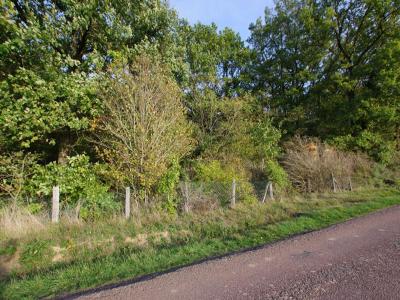 Vente Terrain SAINT-GERMAIN-DES-PRES 45220