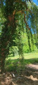 Vente Terrain FRONTON 31620