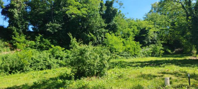Vente Terrain FRONTON 31620